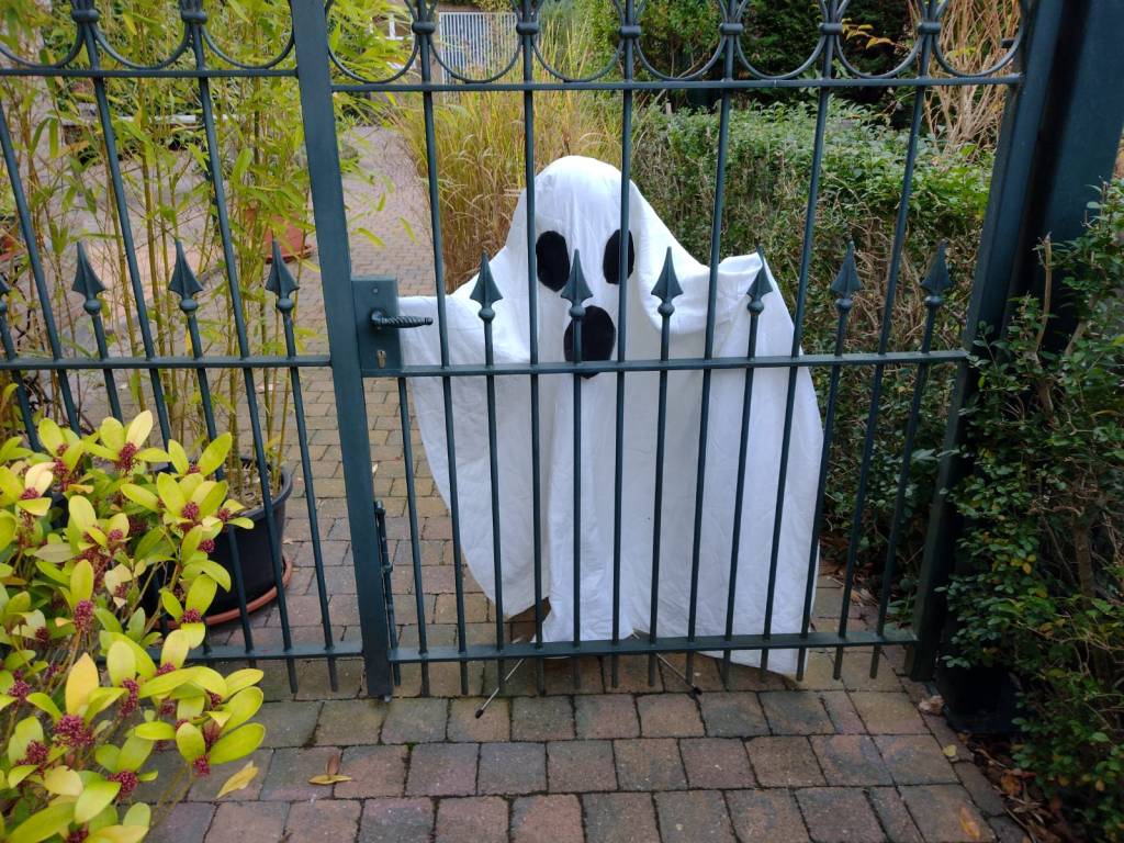 Halloween 2025 was&nbsp;TOP!